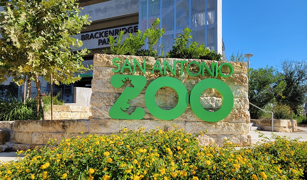Slideshow image for San Antonio Zoo Garage Programming Documents